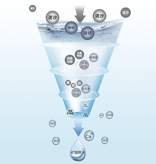 金狮贵宾会·宾至如归-尊贵显赫