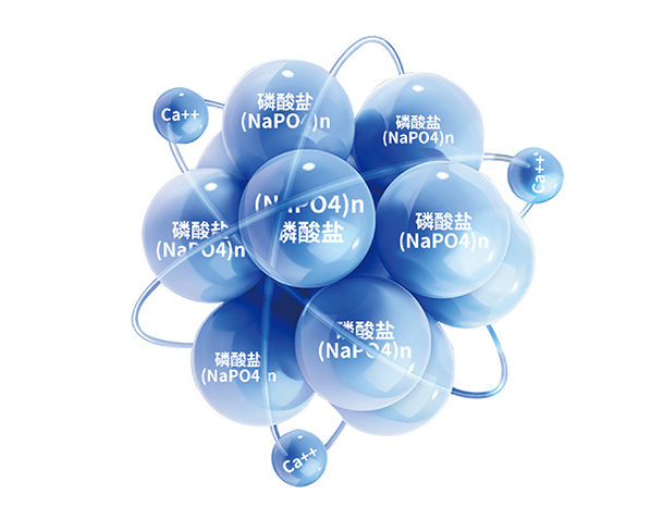 金狮贵宾会·宾至如归-尊贵显赫