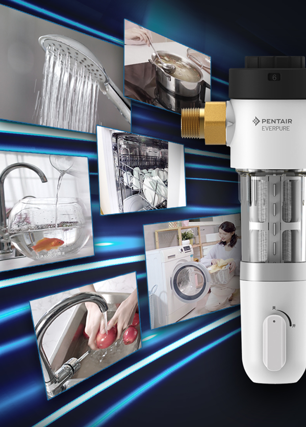 金狮贵宾会·宾至如归-尊贵显赫