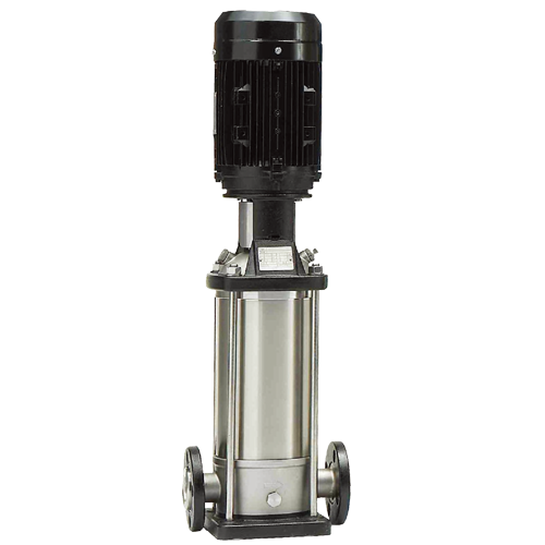 金狮贵宾会·宾至如归-尊贵显赫