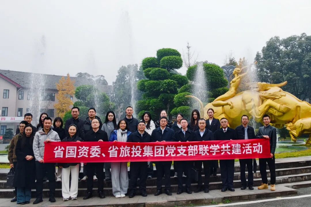 2cc024df-ceb3-4e1a-ae63-2062bd786dfe bti体育委与省bti体育集团发展党支部联学共建活动